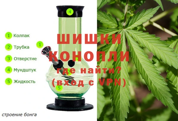 бошки Кинешма