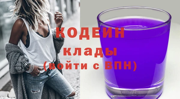 дмт Киреевск