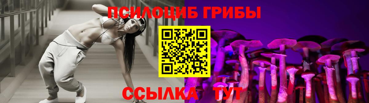 Псилоцибиновые грибы прущие грибы  Псилоцибиновые грибы Magic Shrooms  Вход с VPN  Мытищи 